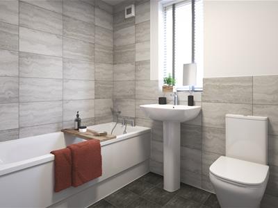 Picture 8